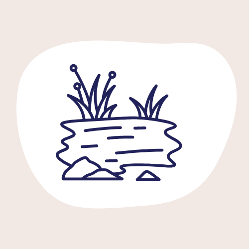 Fish Pond